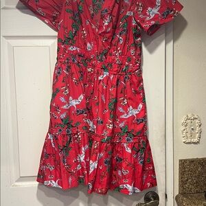 Anthropologie Red Dress with Floral and Bird Design